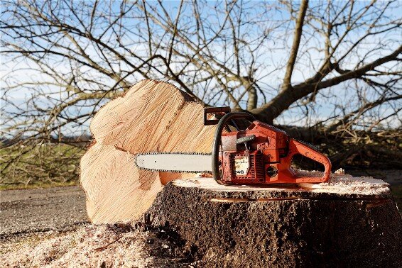 abattage d'arbre devis élagueur le boila Tuzaguet Hautes-Pyrénées